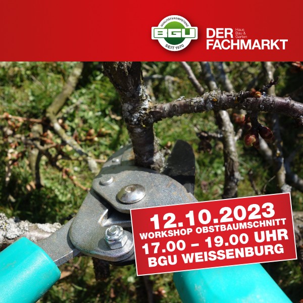 Workshop Obstbaumschnitt Weißenburg 12.10.2023 - 17 bis 19 Uhr