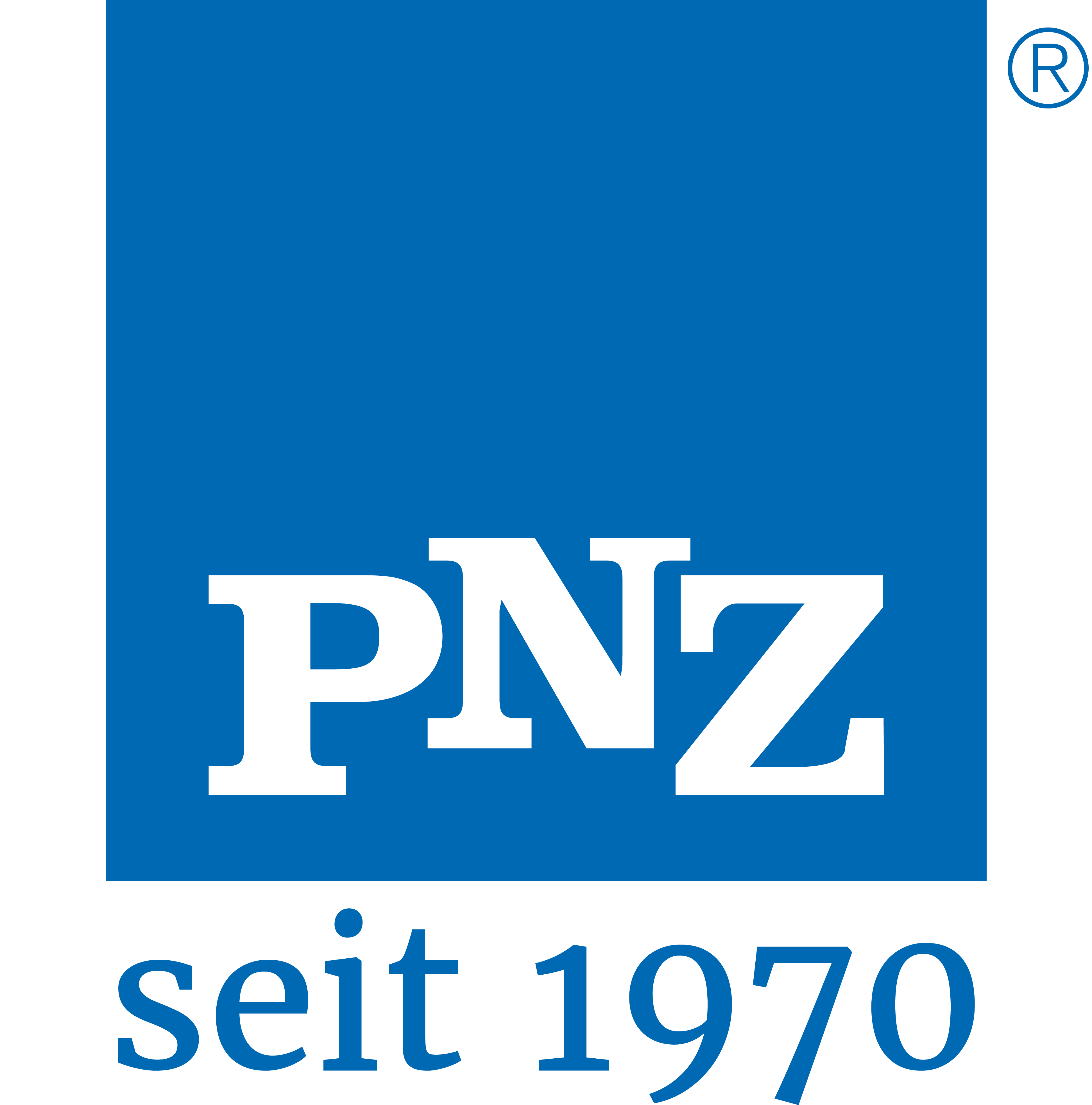 Pnz логотип. Pnz. 1pnz логотип. W pnz.