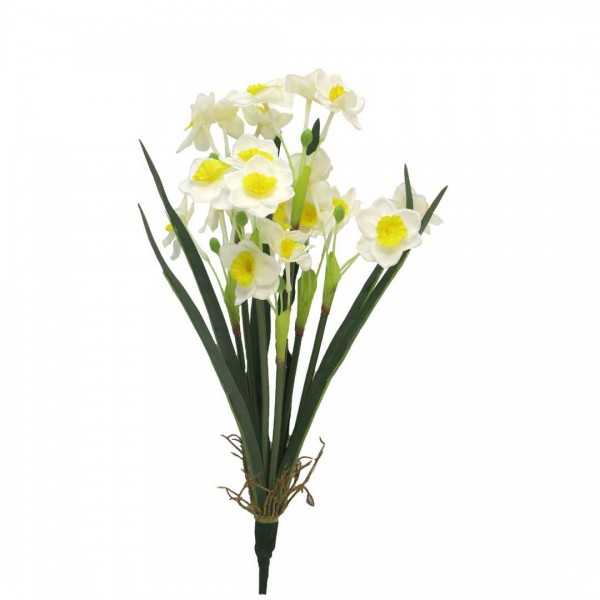 Narcissus Chambry cream/yellow 40cm
